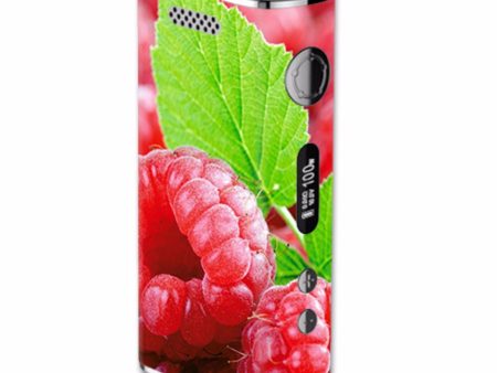 Raspberry, Fruit eLeaf iStick 100W Skin on Sale