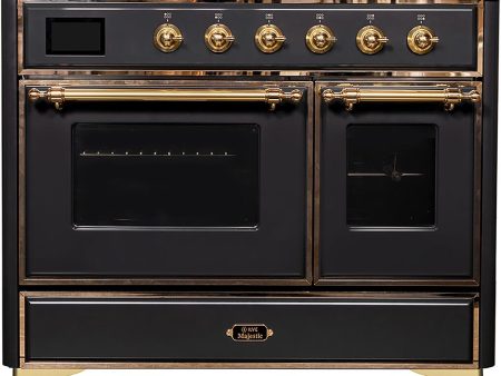 Majestic II 40 Inch Dual Fuel Liquid Propane Freestanding Range in Matte Graphite with Brass Trim Discount